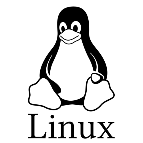 kurumsal web tasarım yazılım